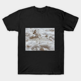 Badwater Basin Salt Flats T-Shirt